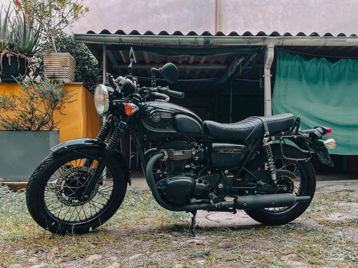 Kawasaki W 800 (2010 - 17) (4)