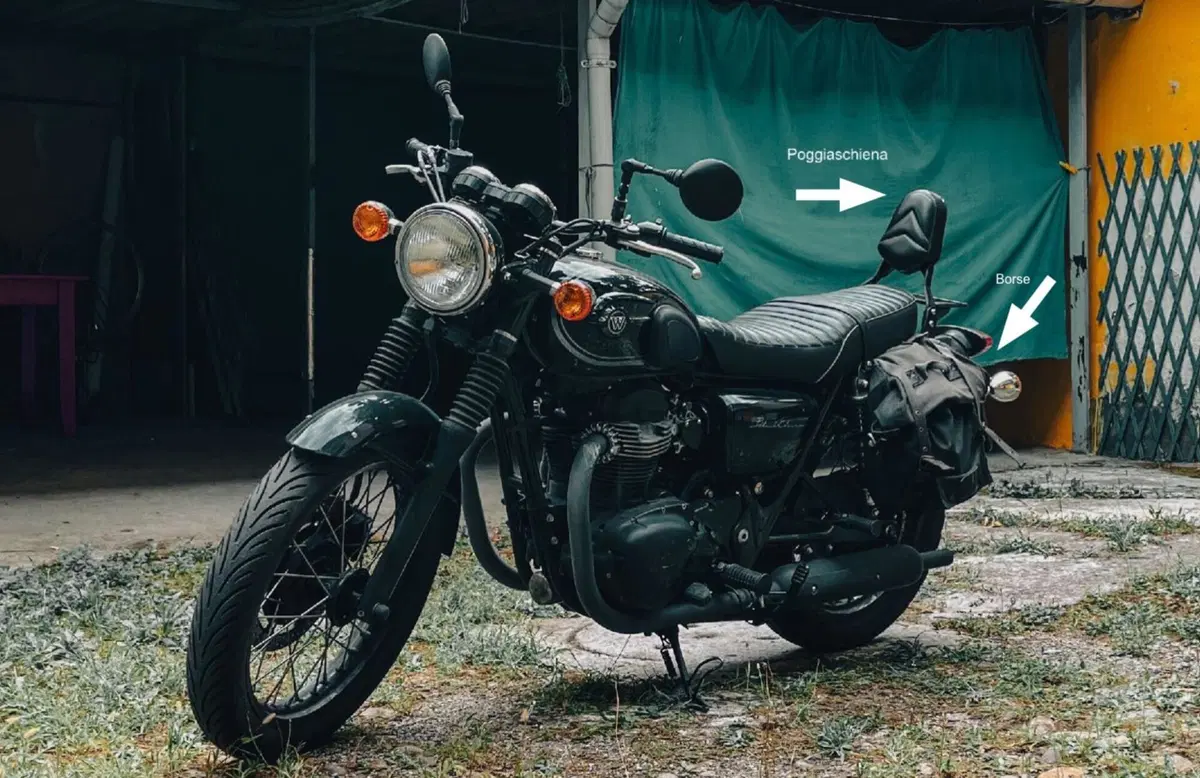 Kawasaki W 800 (2010 - 17) (6)