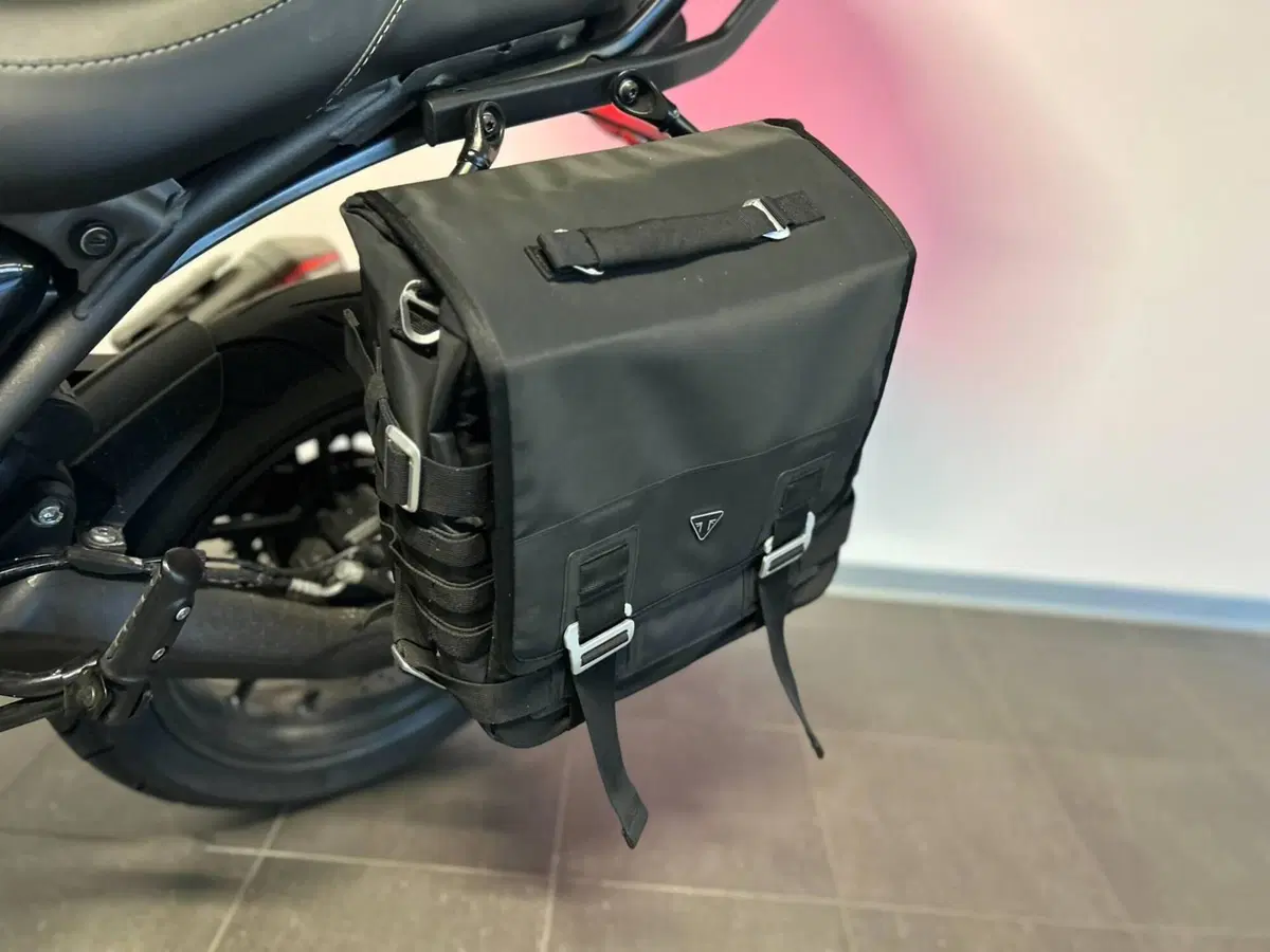 Triumph Speed 400 (2024 - 26) (8)