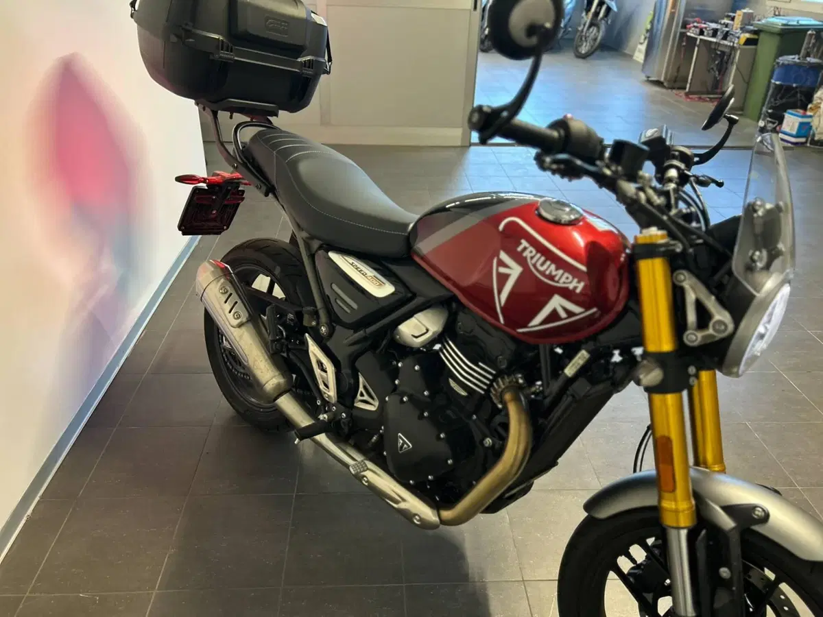 Triumph Speed 400 (2024 - 26) (9)