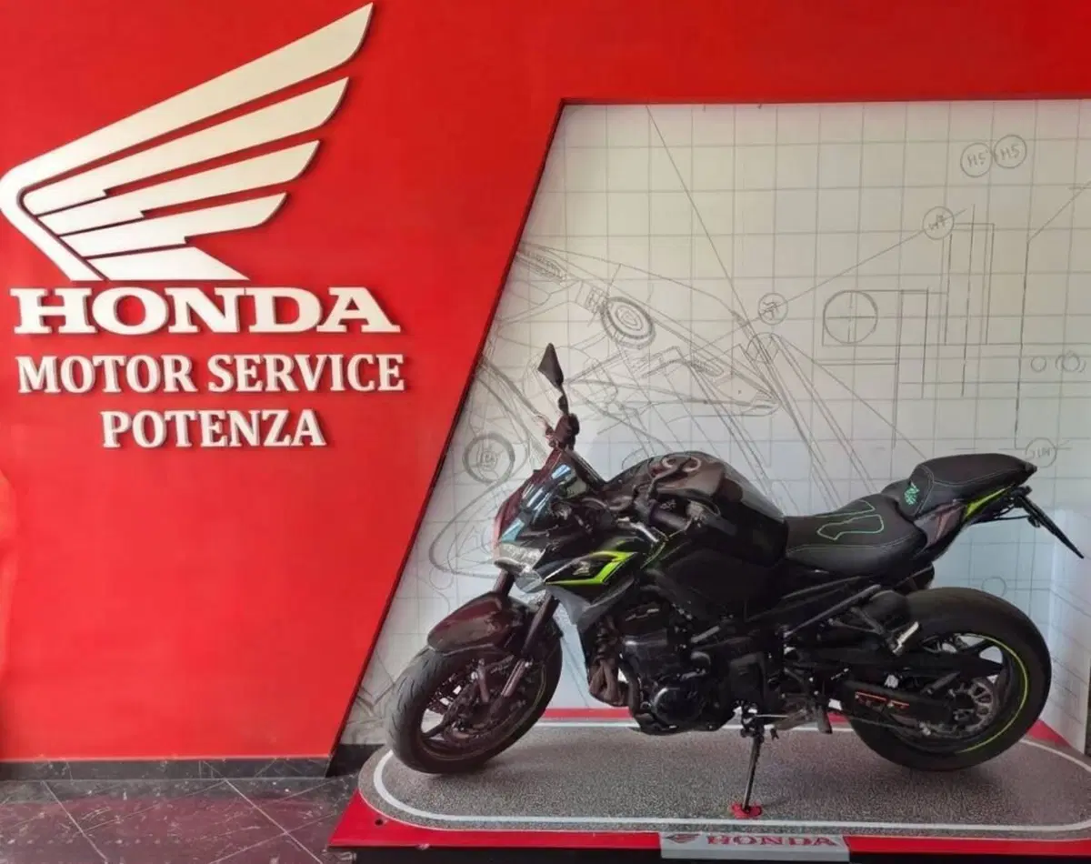 Kawasaki Z 900 (2021 - 24)