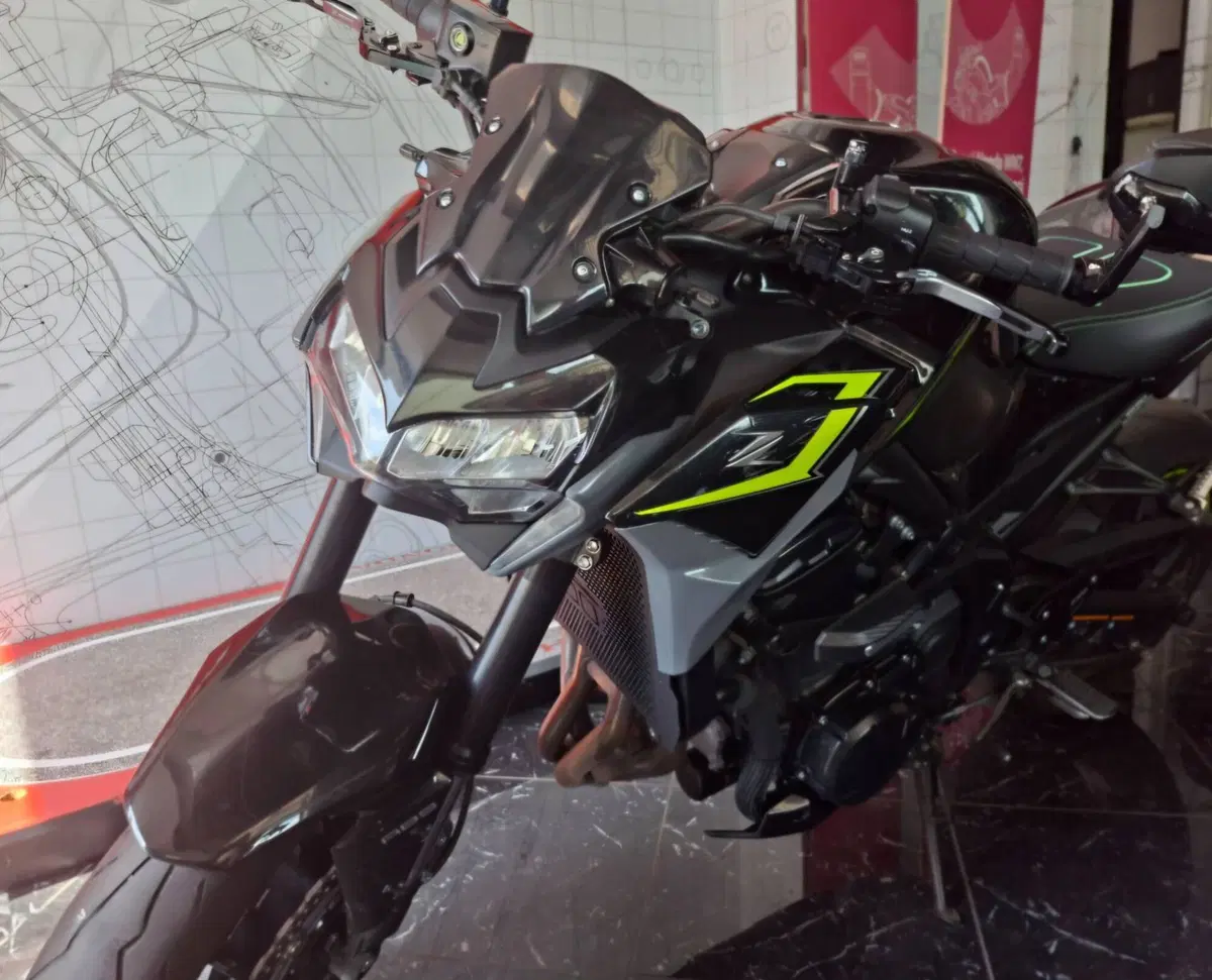 Kawasaki Z 900 (2021 - 24) (11)