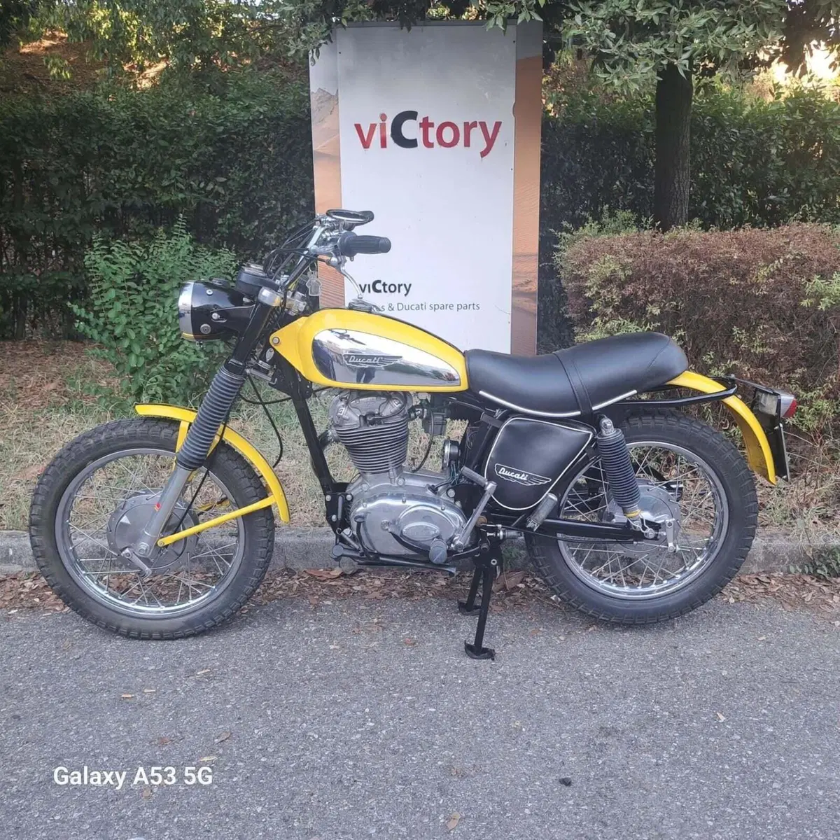 Ducati Scrambler 450 (2)