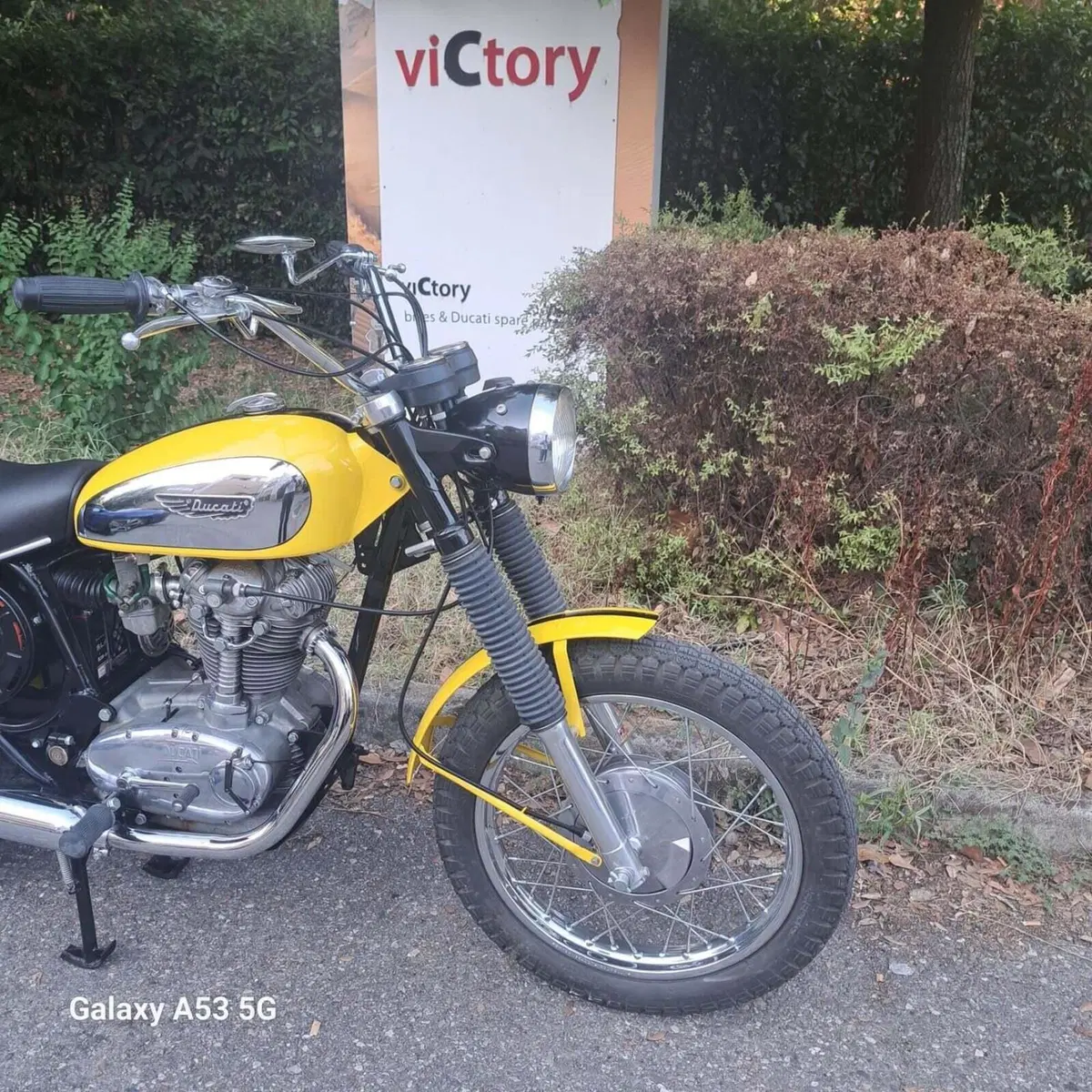 Ducati Scrambler 450 (3)