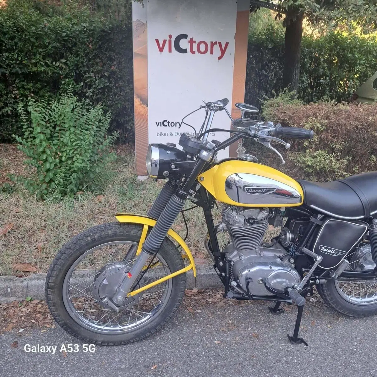 Ducati Scrambler 450 (4)