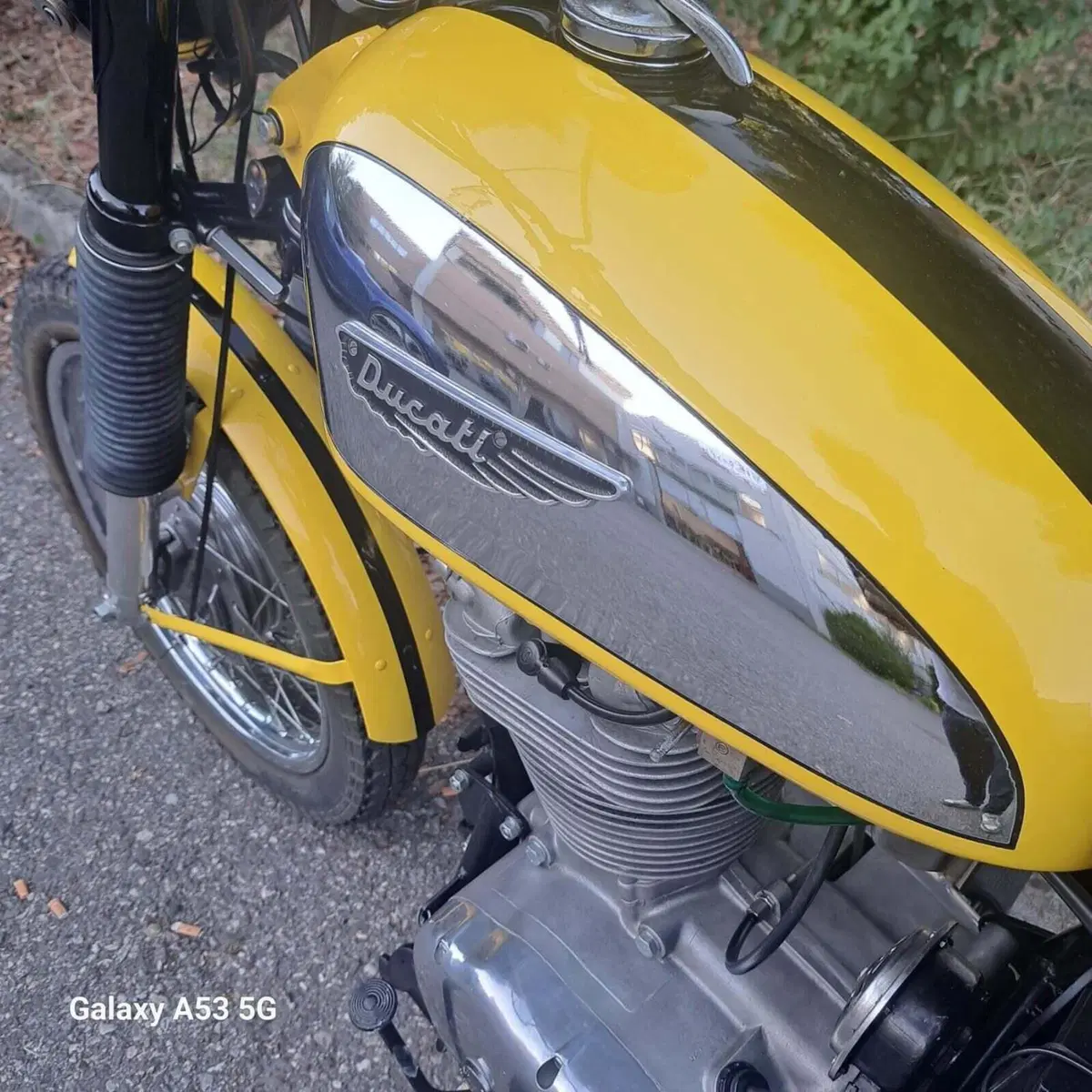 Ducati Scrambler 450 (7)