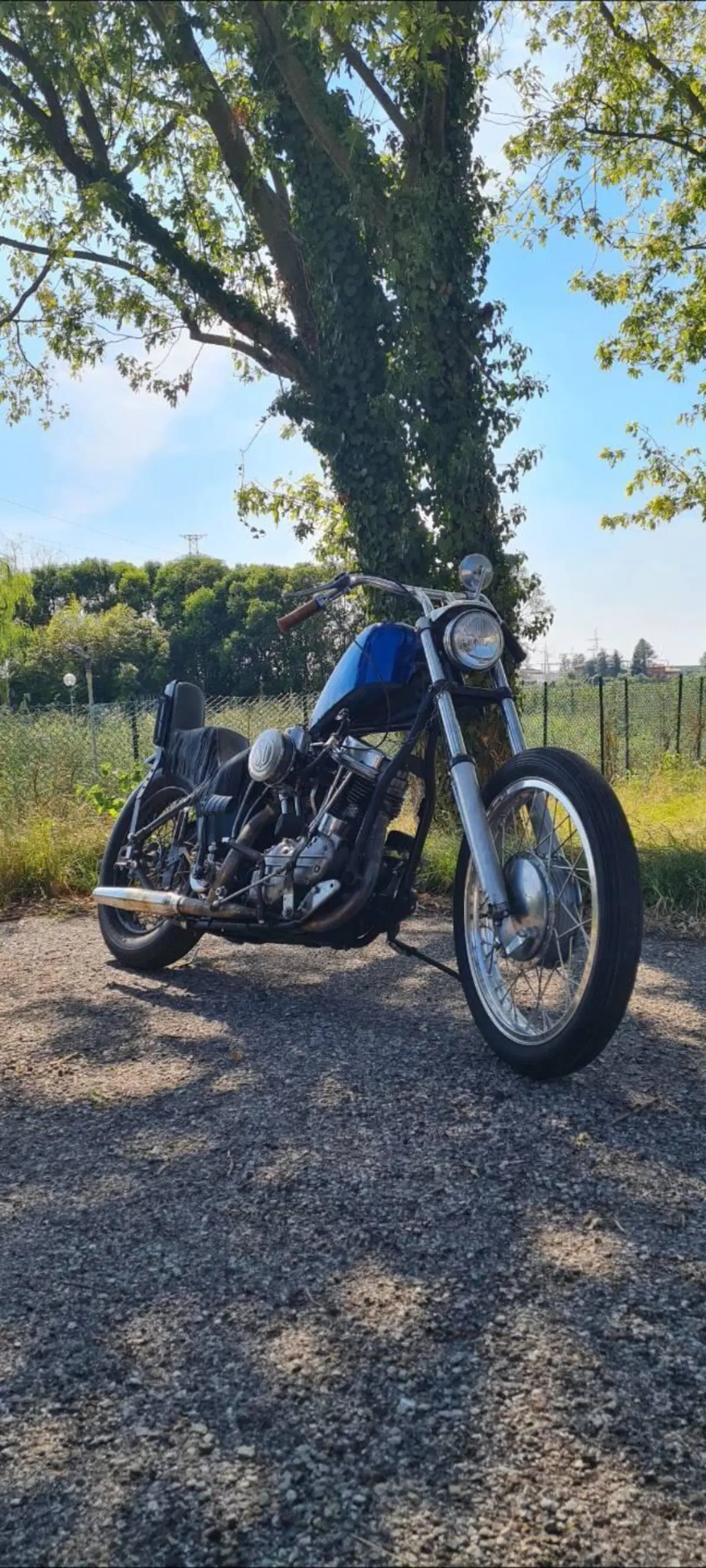 Harley-Davidson Panhead chopper