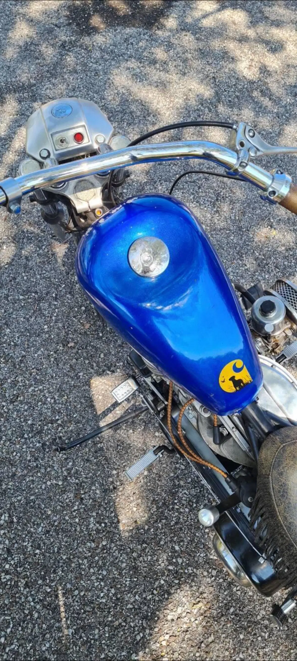 Harley-Davidson Panhead chopper (3)