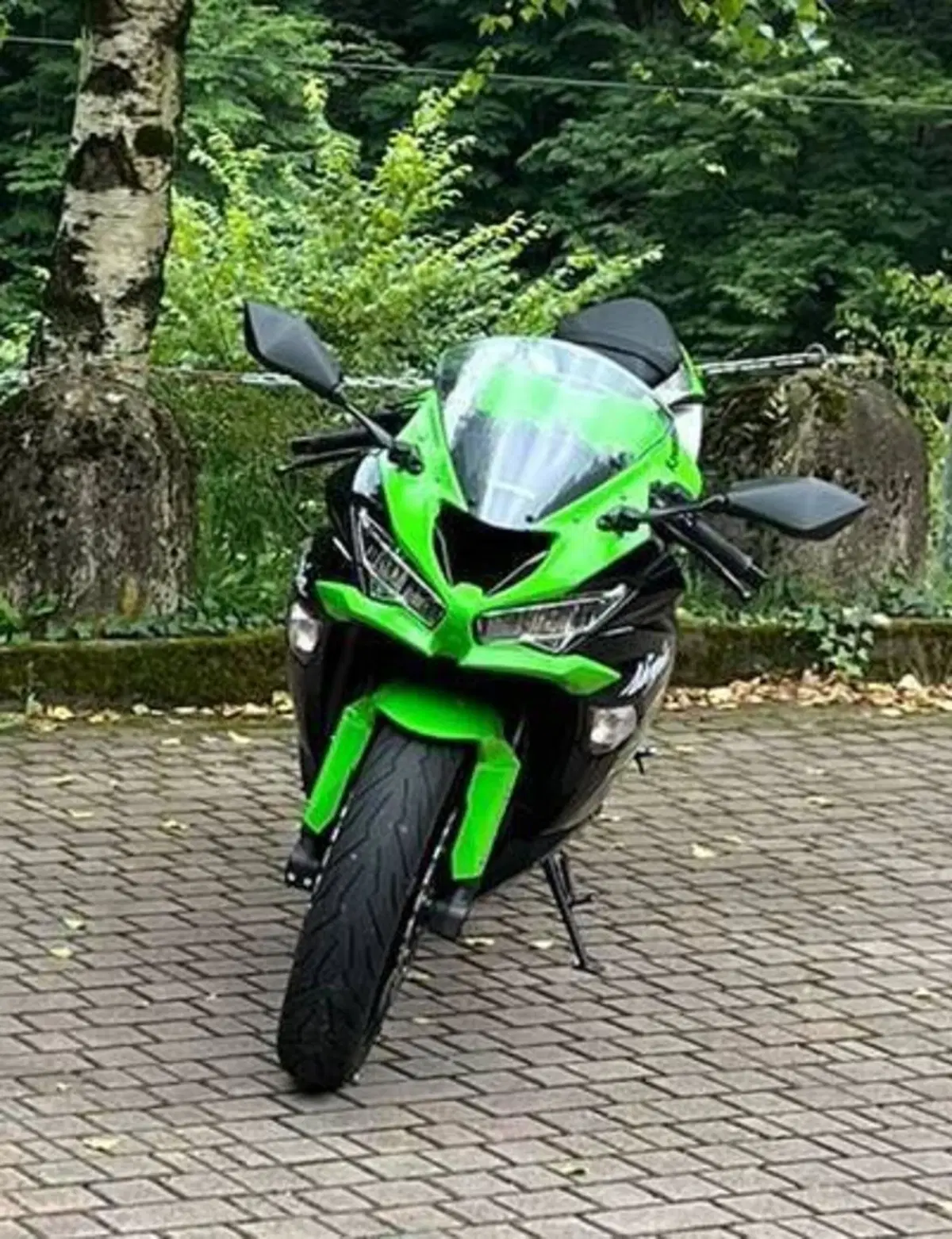Kawasaki Ninja 636 ZX-6R KRT (2019 - 20) (2)