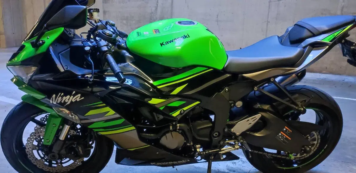 Kawasaki Ninja 636 ZX-6R KRT (2019 - 20) (3)