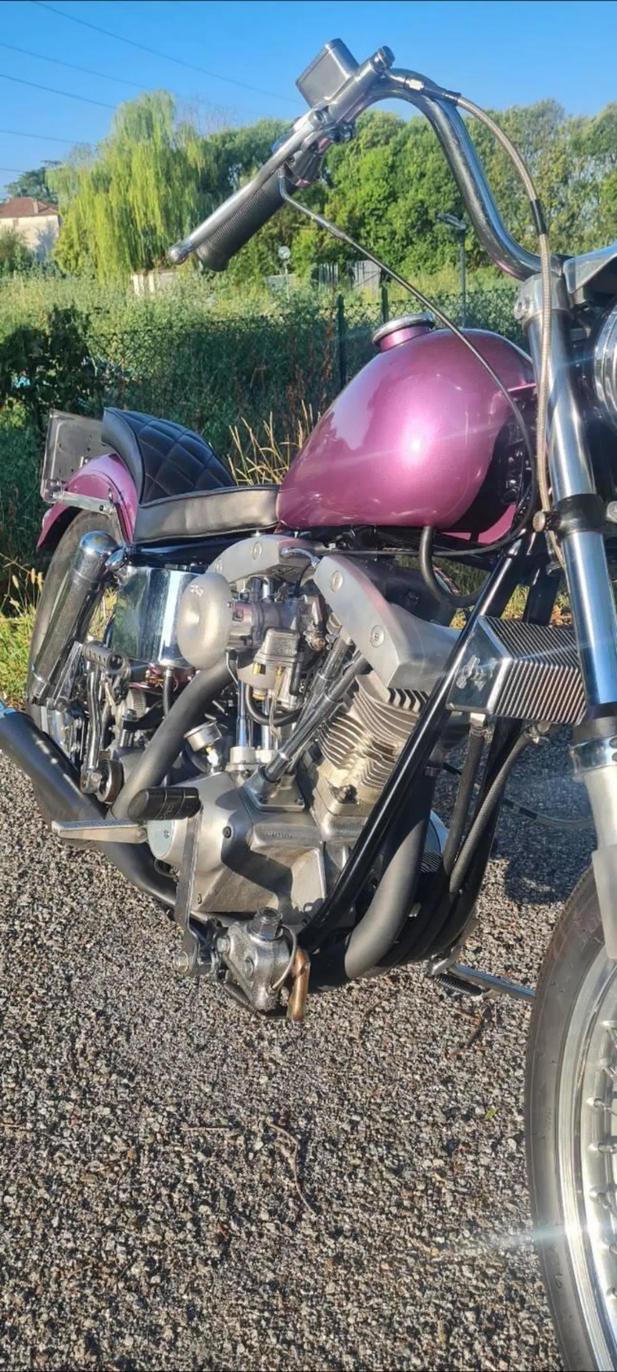 Harley-Davidson Fxe (2)