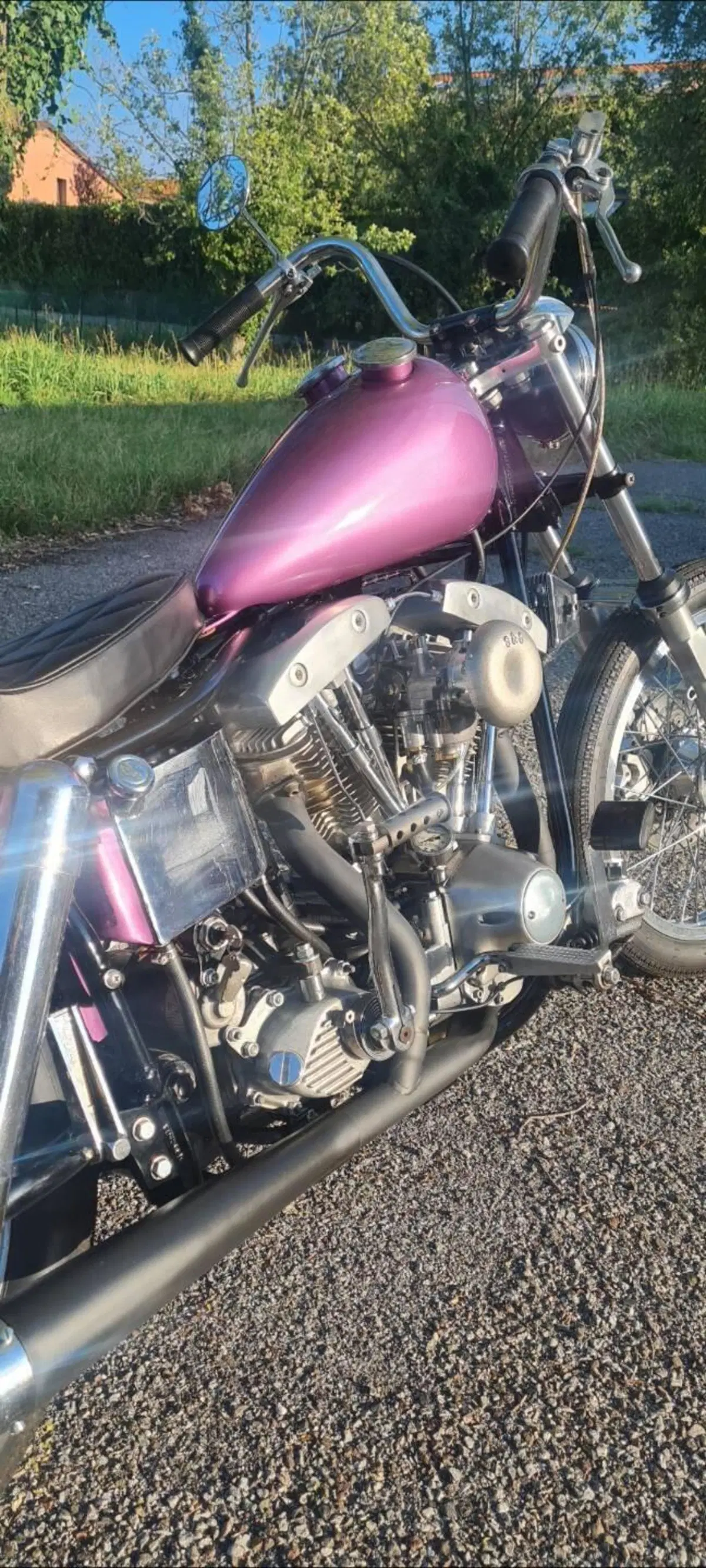 Harley-Davidson Fxe (3)