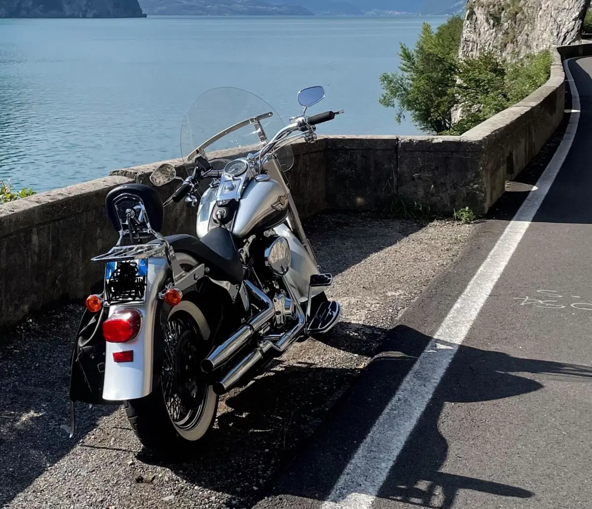Harley-Davidson 1450 Fat Boy (2003 - 06) - FLSTFI (2)