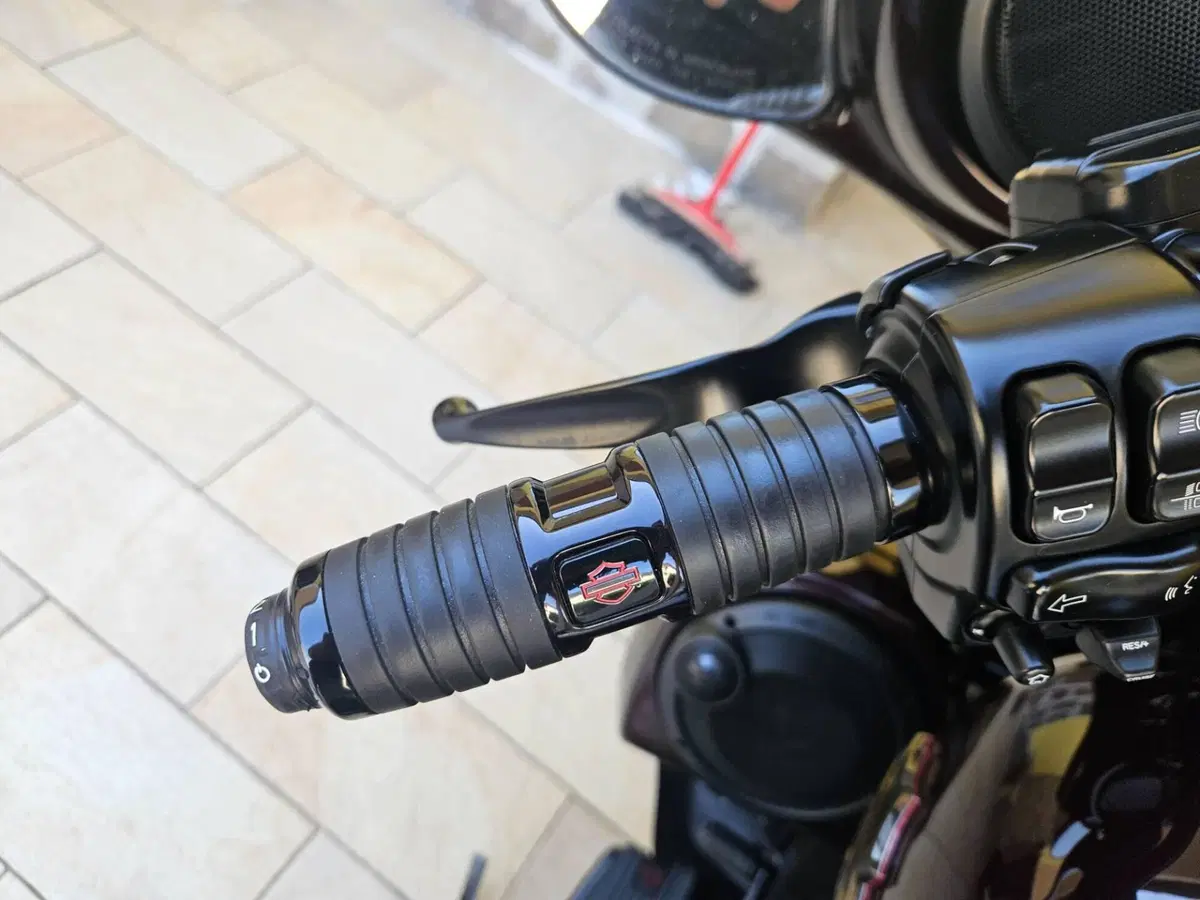 Harley-Davidson 117 Street Glide (2018 - 20) - FLHXSE (4)