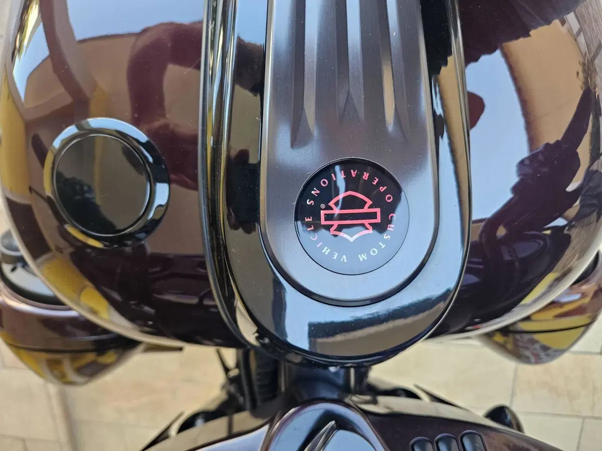Harley-Davidson 117 Street Glide (2018 - 20) - FLHXSE (9)