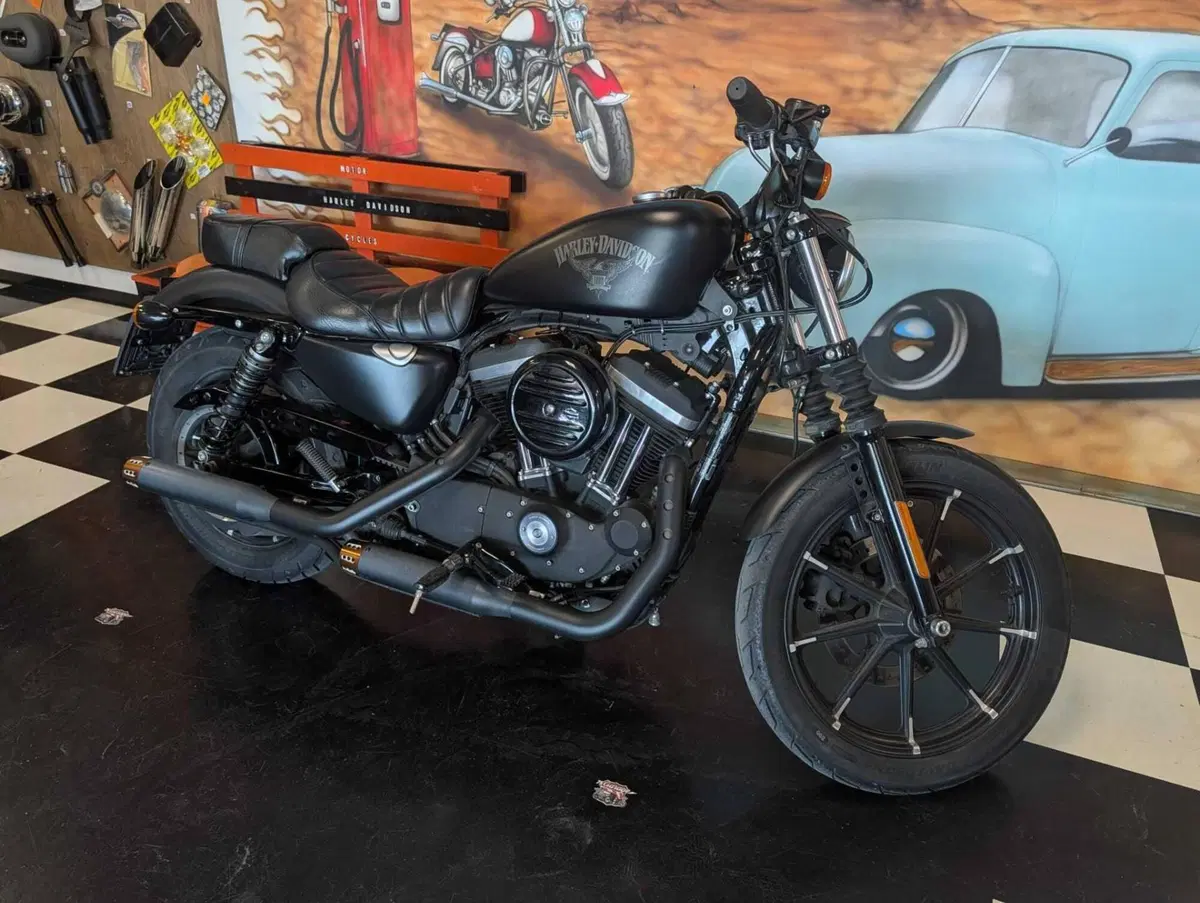 Harley-Davidson 883 Iron (2017 - 20) - XL 883N (2)