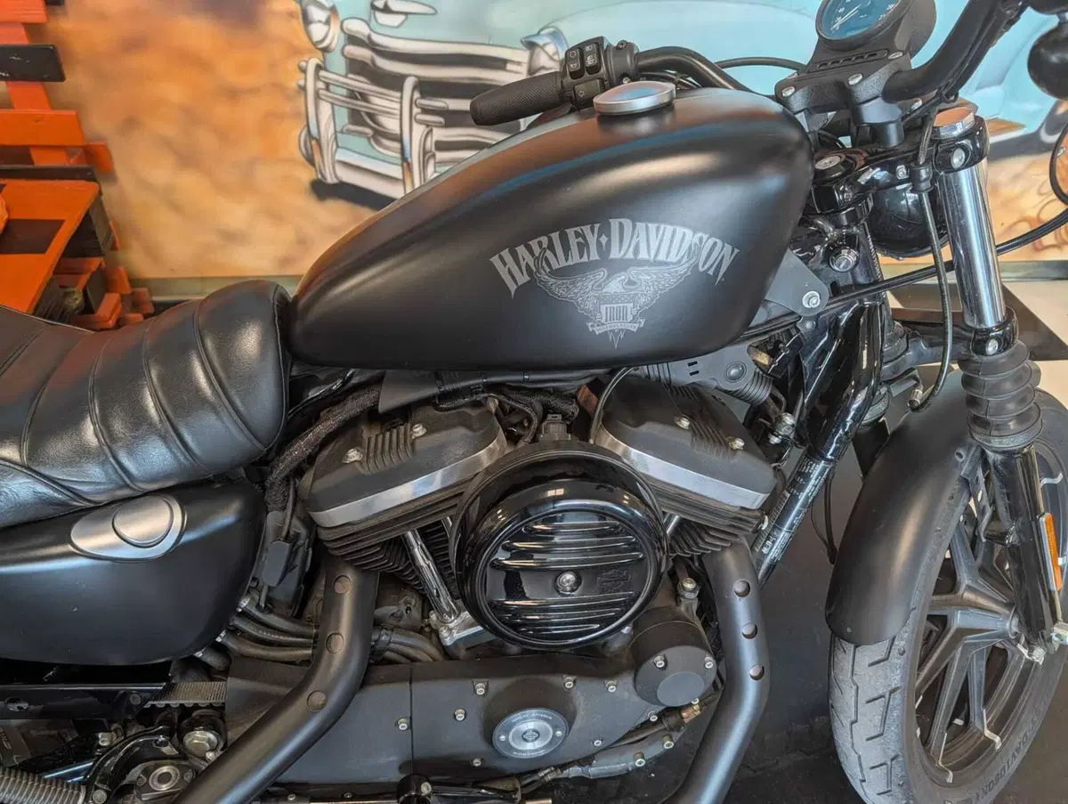 Harley-Davidson 883 Iron (2017 - 20) - XL 883N (3)