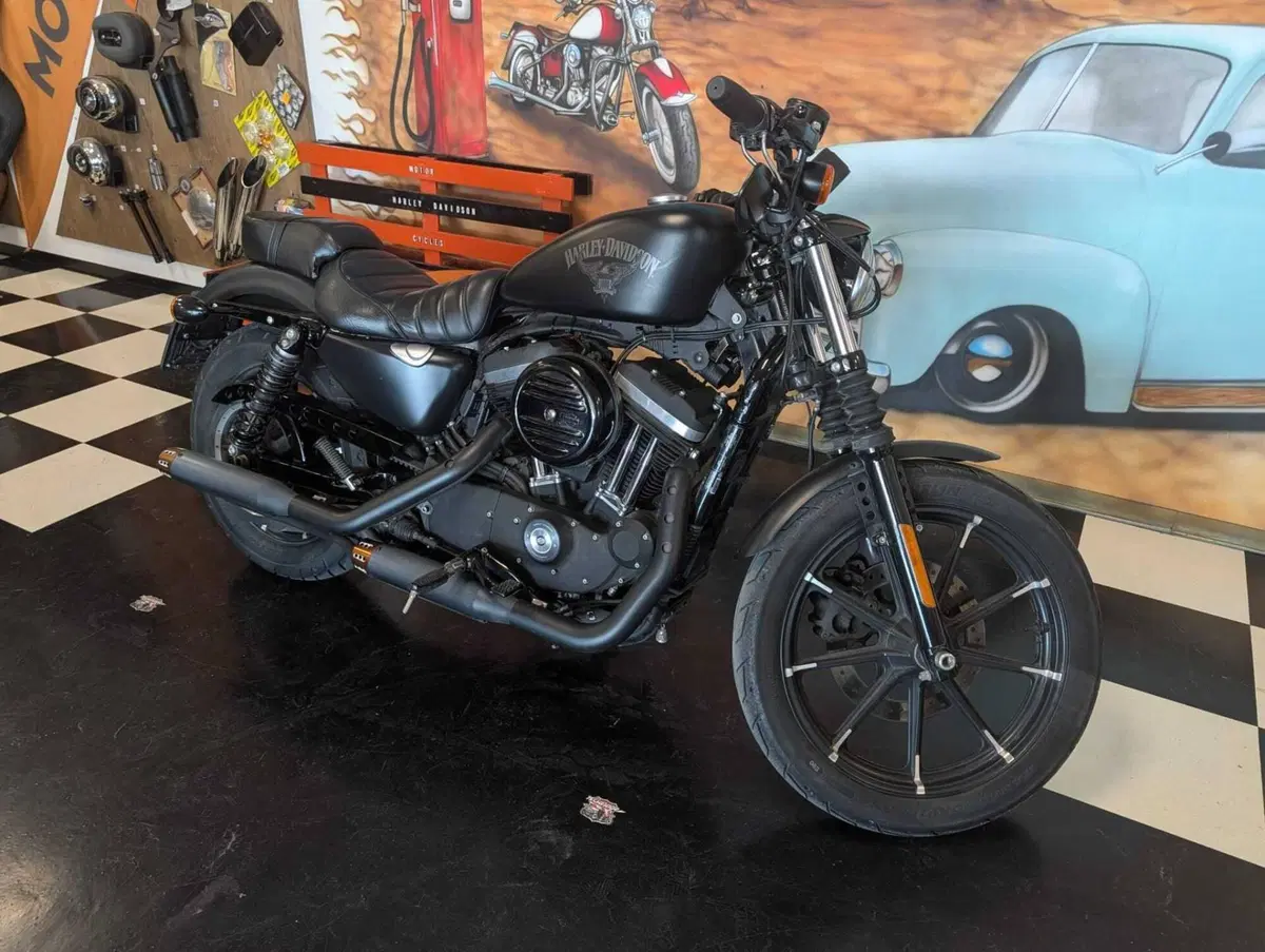 Harley-Davidson 883 Iron (2017 - 20) - XL 883N (4)