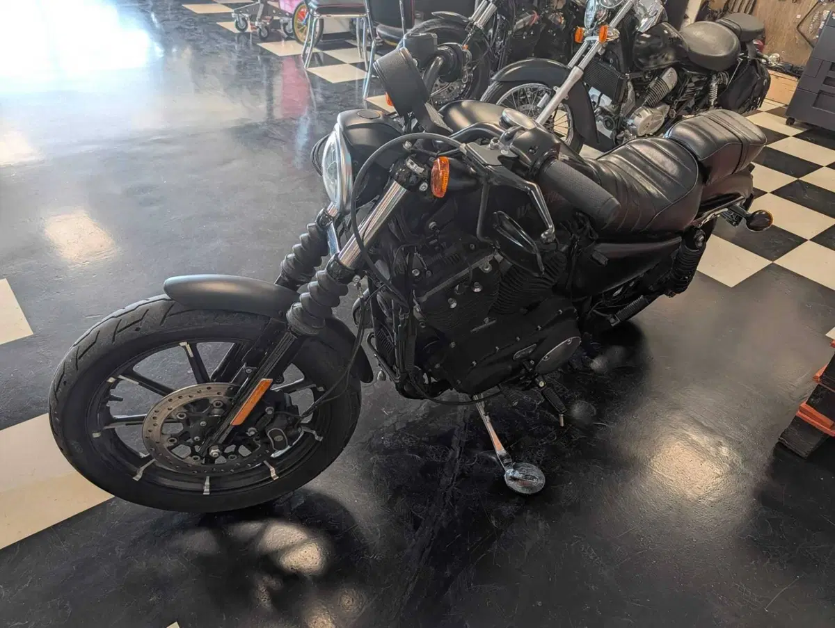 Harley-Davidson 883 Iron (2017 - 20) - XL 883N (7)
