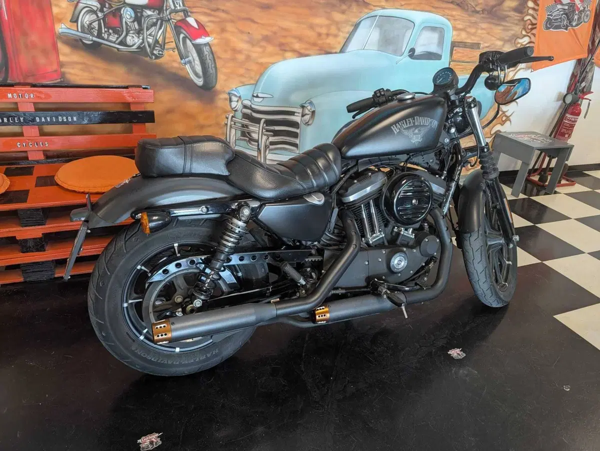 Harley-Davidson 883 Iron (2017 - 20) - XL 883N (8)