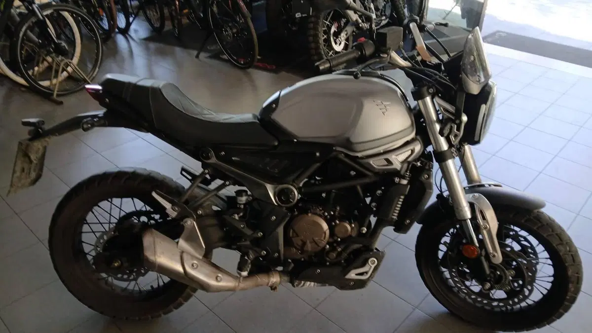 Voge Trofeo 300AC (2021 - 26) (3)