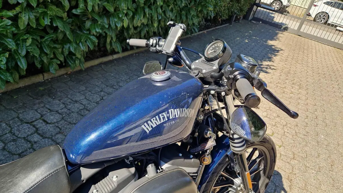 Harley-Davidson 883 Iron (2012 - 14) - XL 883N (3)