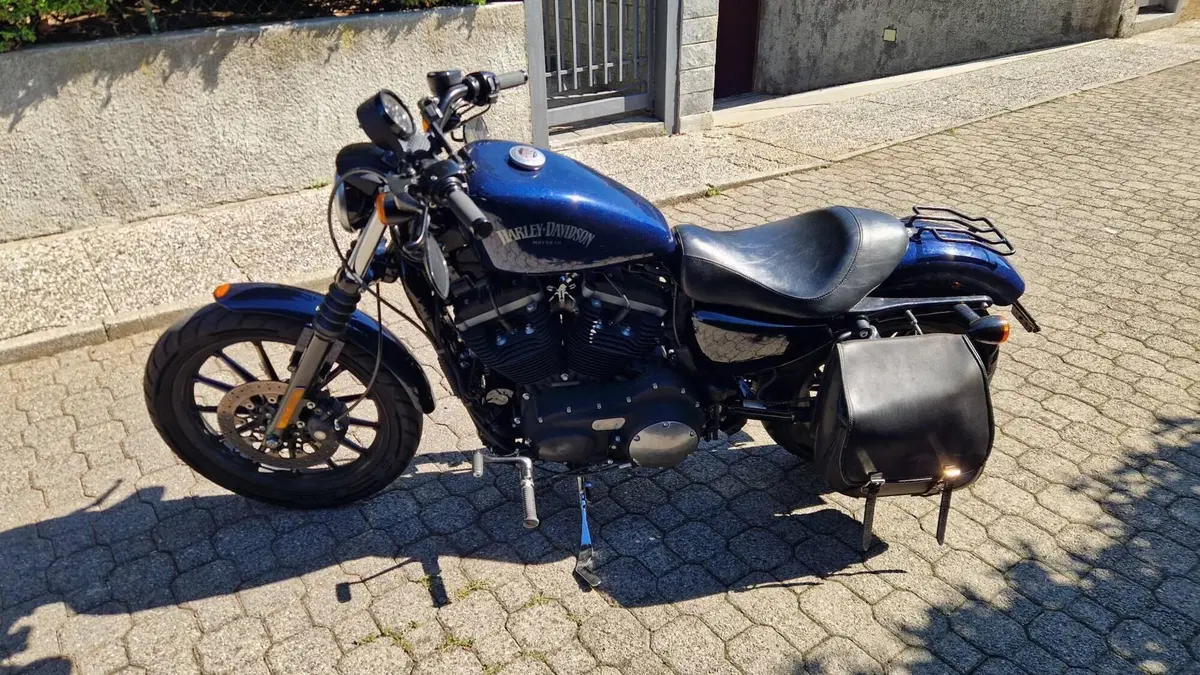 Harley-Davidson 883 Iron (2012 - 14) - XL 883N (6)