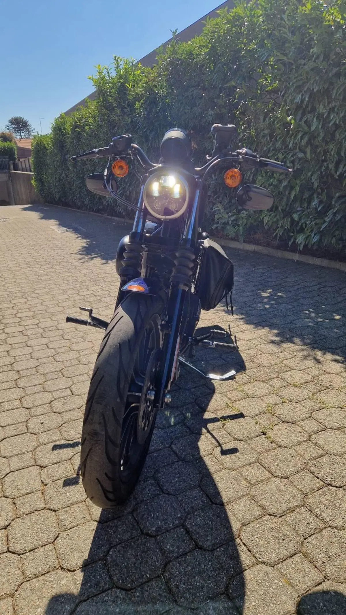 Harley-Davidson 883 Iron (2012 - 14) - XL 883N (8)