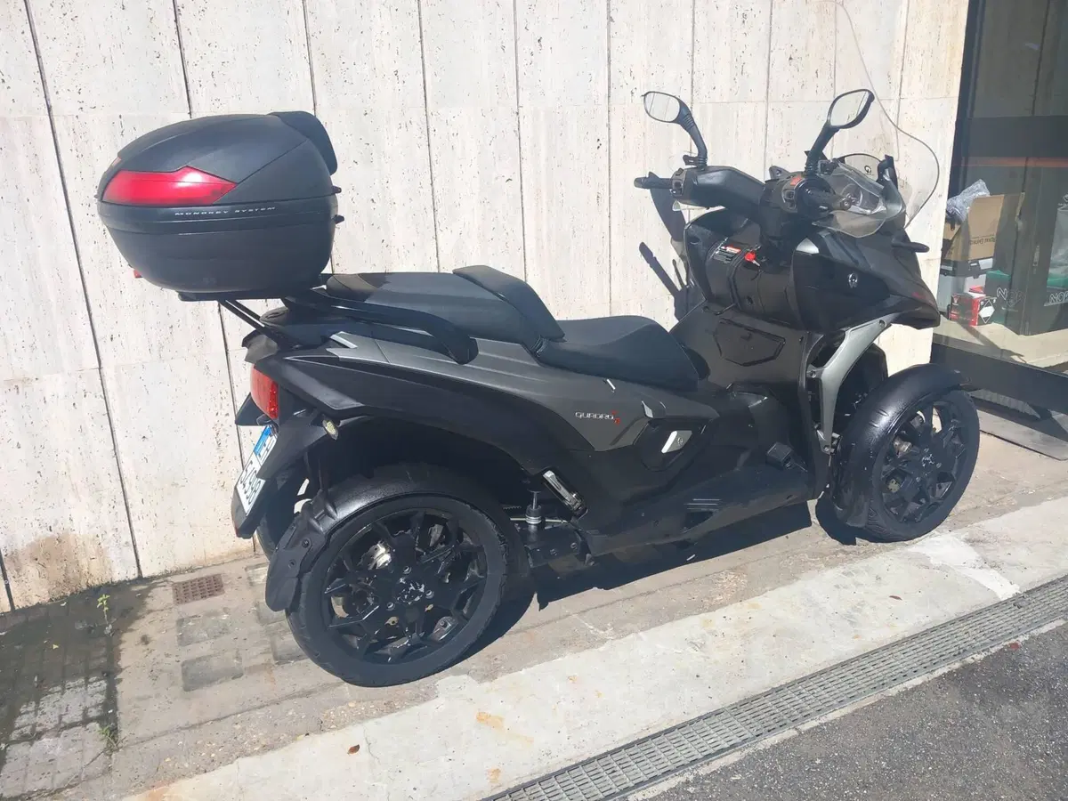 Quadro Quadro 4 (2015 - 17) (3)