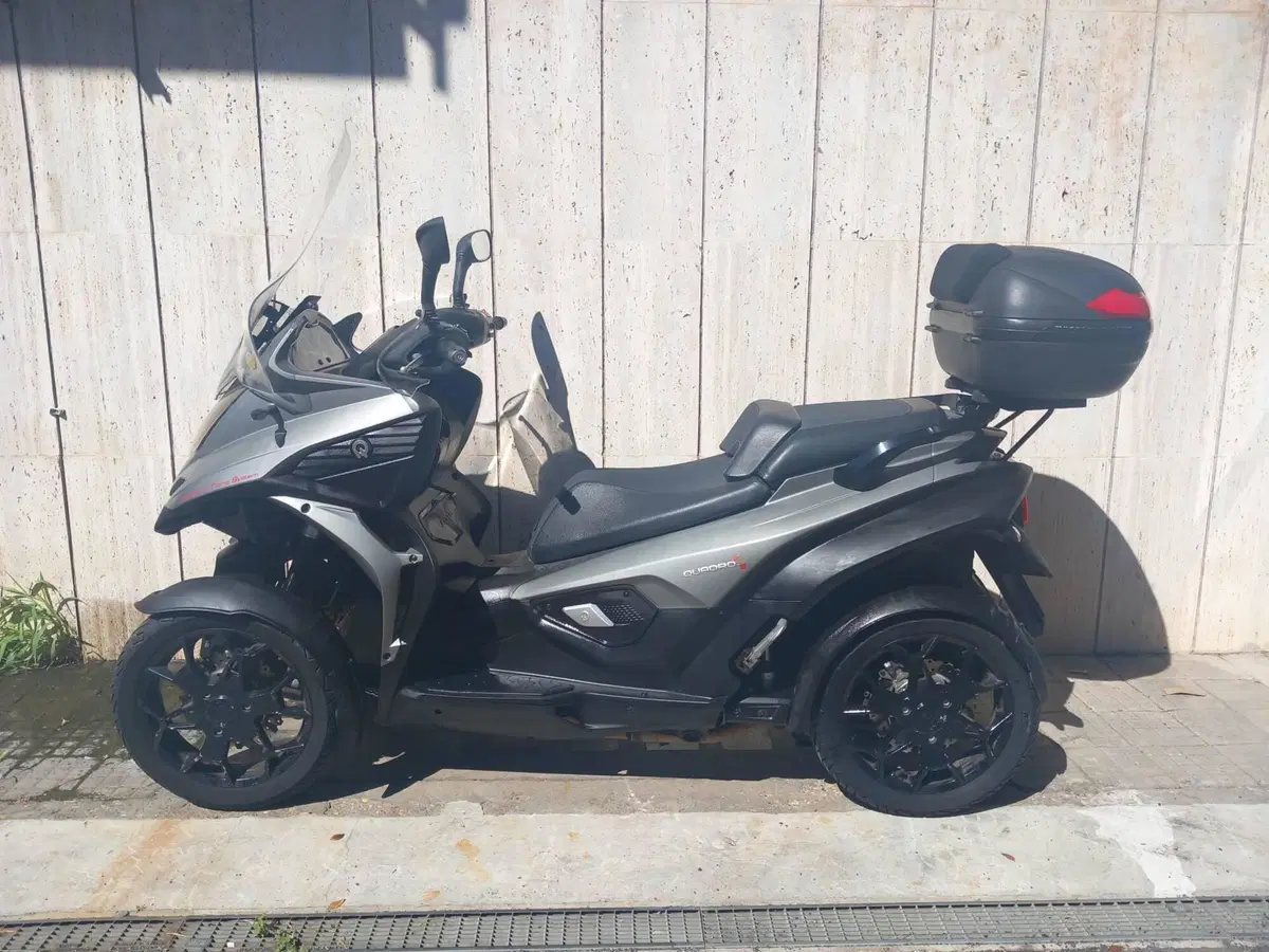 Quadro Quadro 4 (2015 - 17) (5)