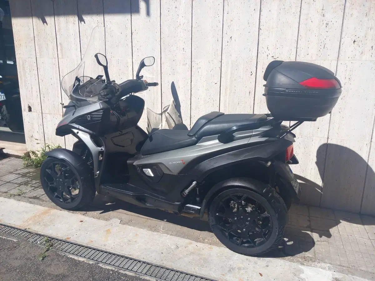 Quadro Quadro 4 (2015 - 17) (6)