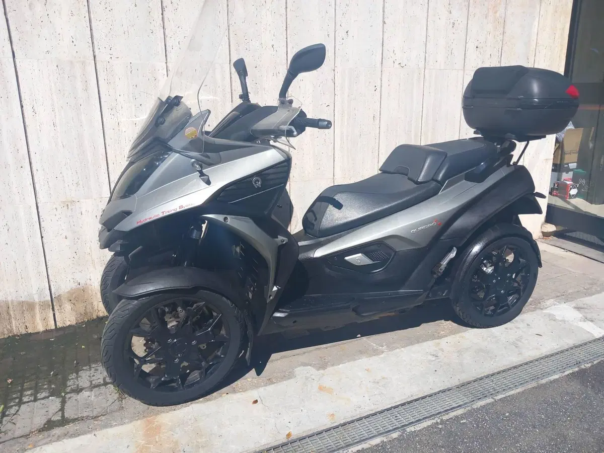 Quadro Quadro 4 (2015 - 17) (7)