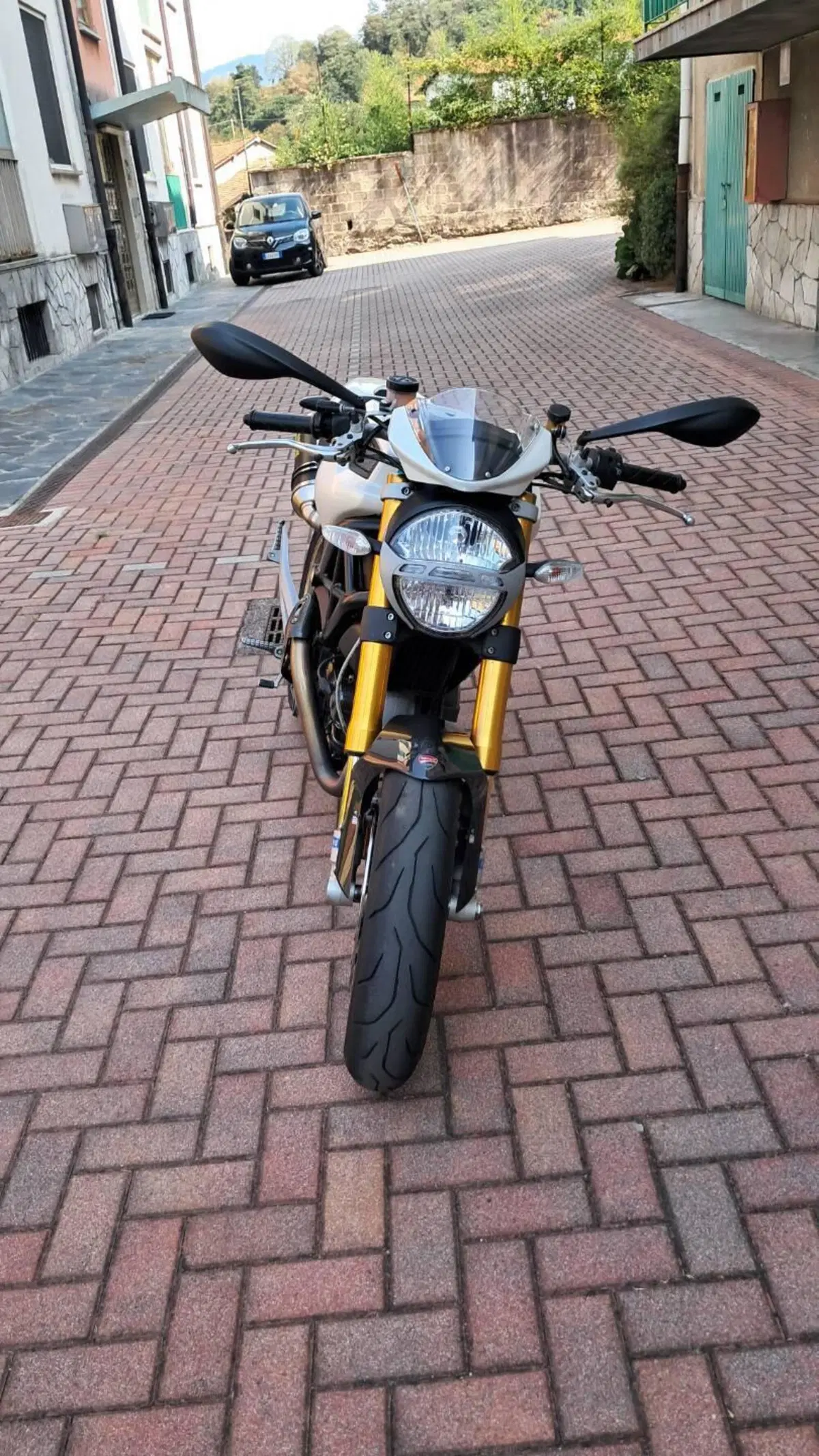 Ducati Monster 1100 S (2009 - 10) (2)