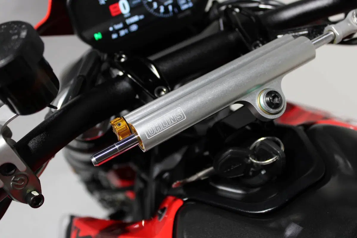 Ducati Monster 937 (2021 - 25) (7)
