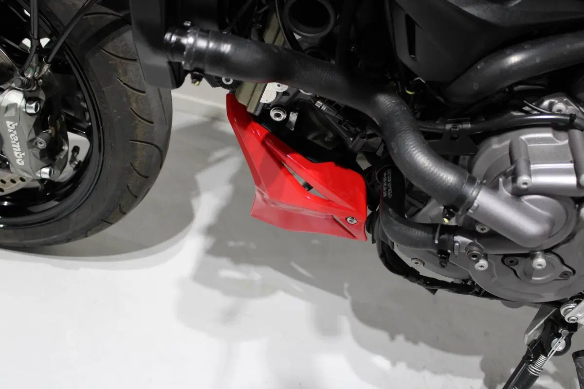 Ducati Monster 937 (2021 - 25) (8)