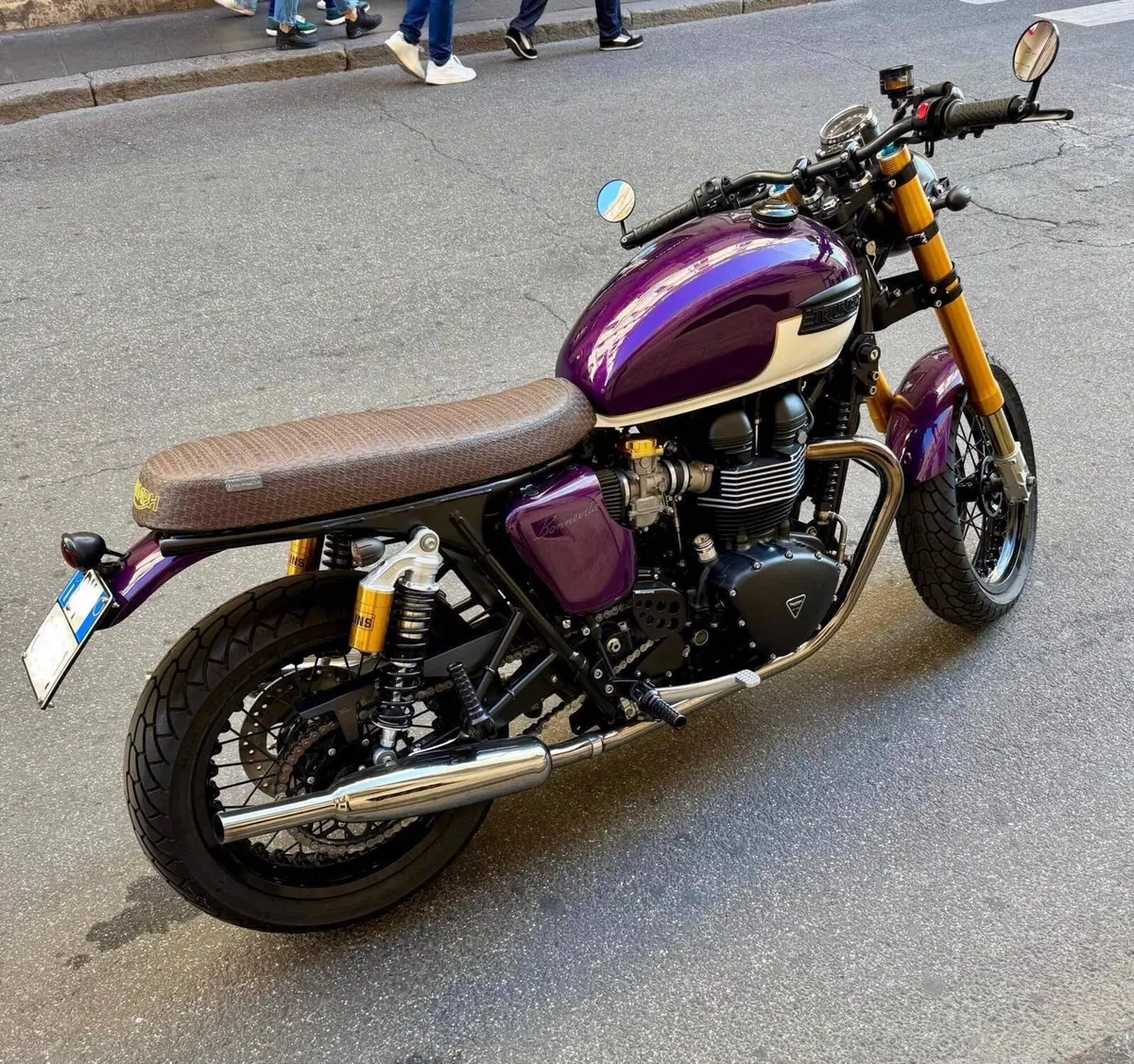 Triumph Bonneville SE (2009 - 13) (3)