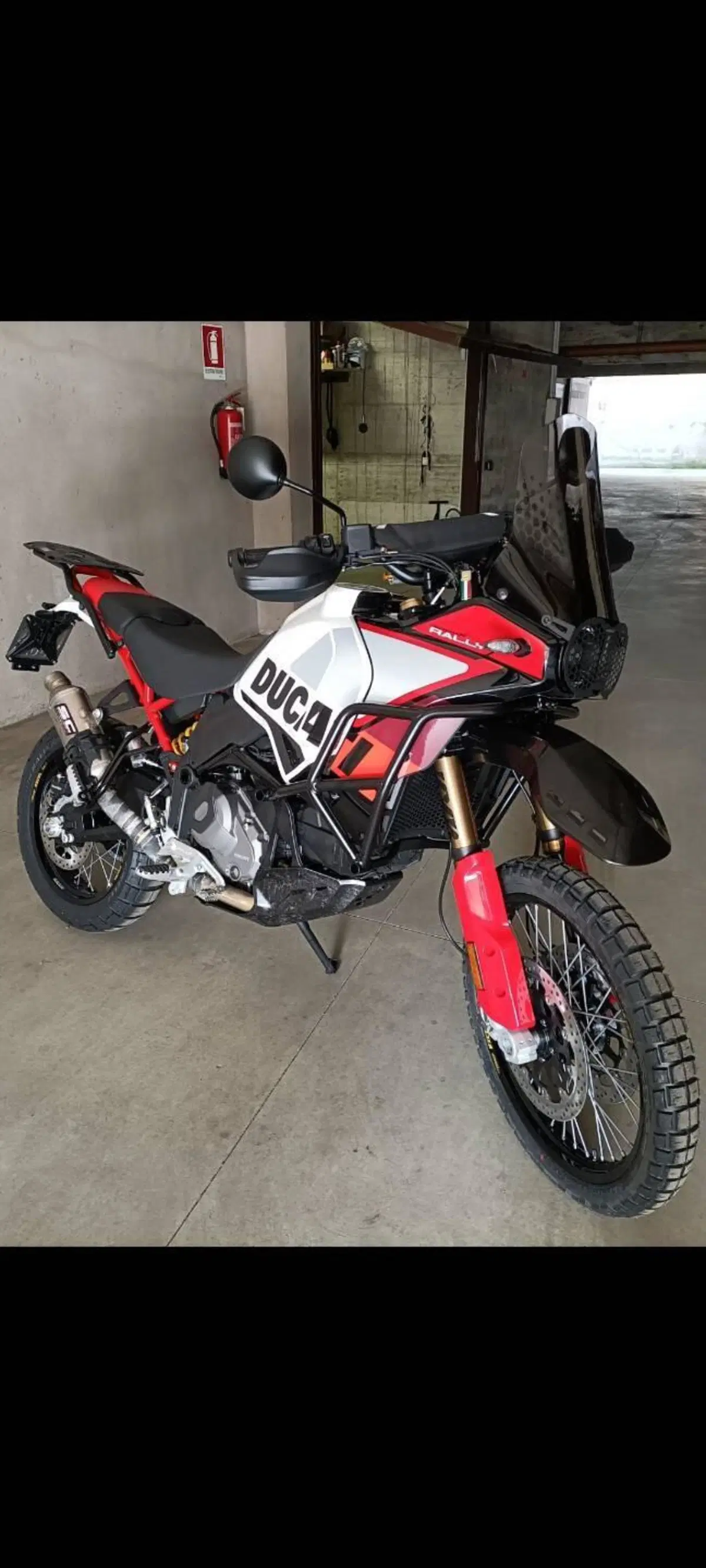 Ducati DesertX Rally (2024 - 25) (2)