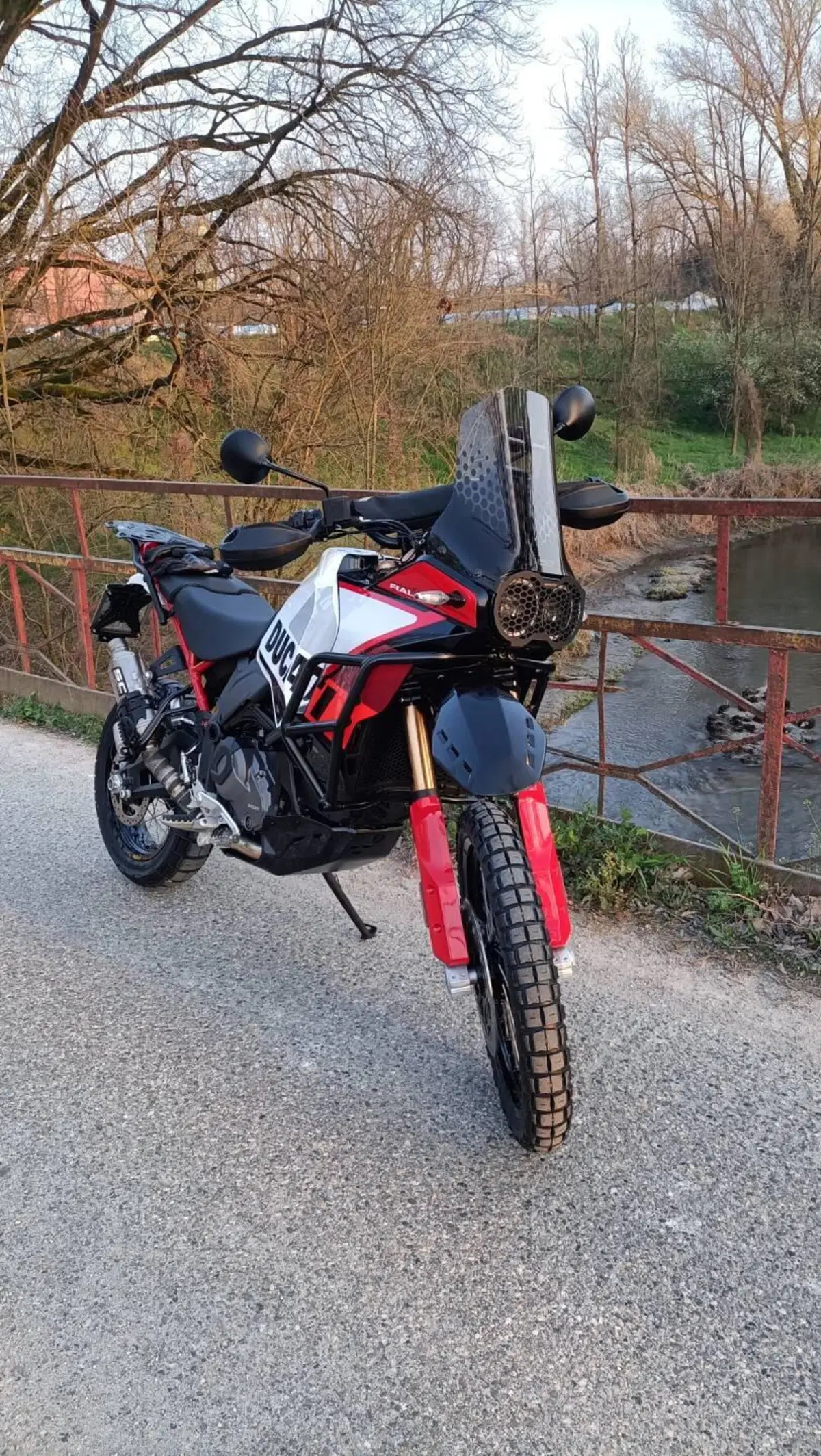 Ducati DesertX Rally (2024 - 25) (3)