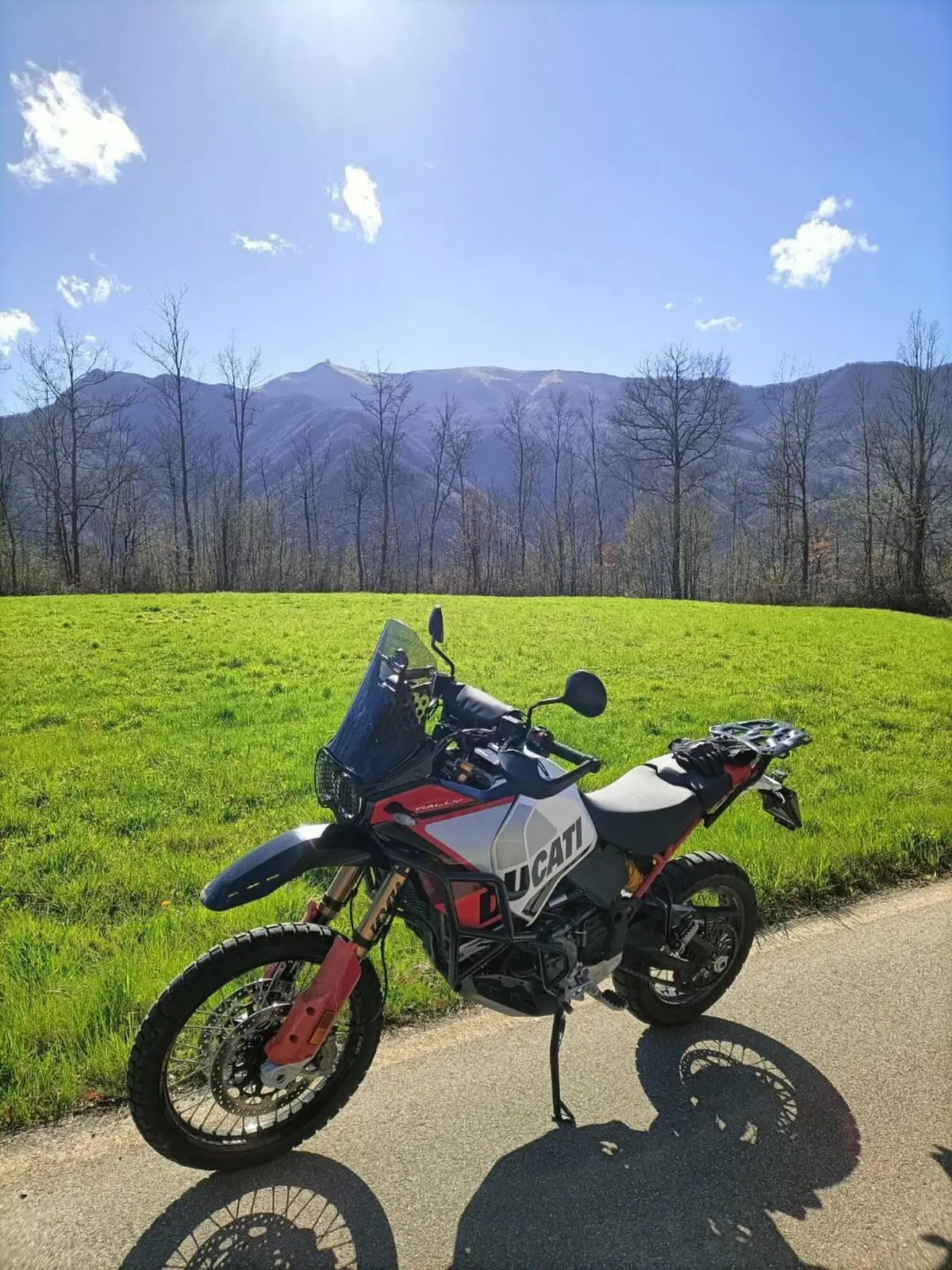 Ducati DesertX Rally (2024 - 25) (5)