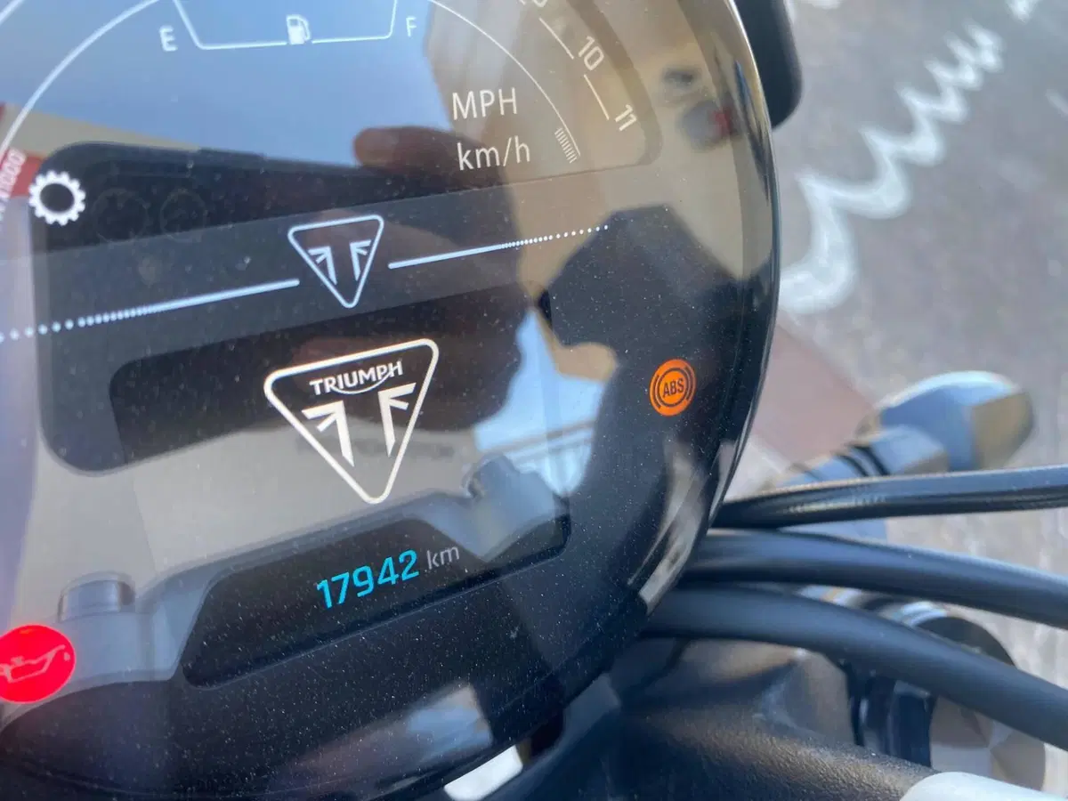 Triumph Trident 660 Triple Tribute Edition (2024) (3)