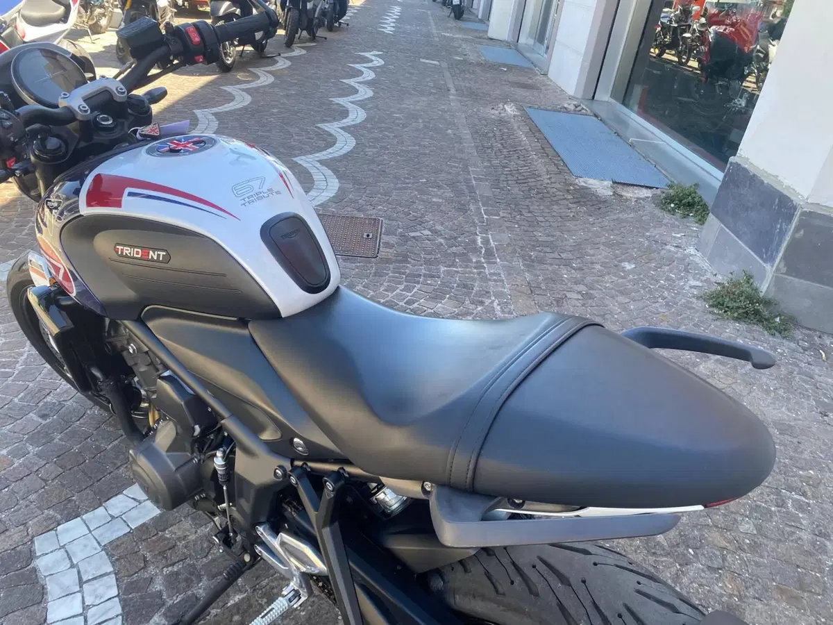 Triumph Trident 660 Triple Tribute Edition (2024) (5)