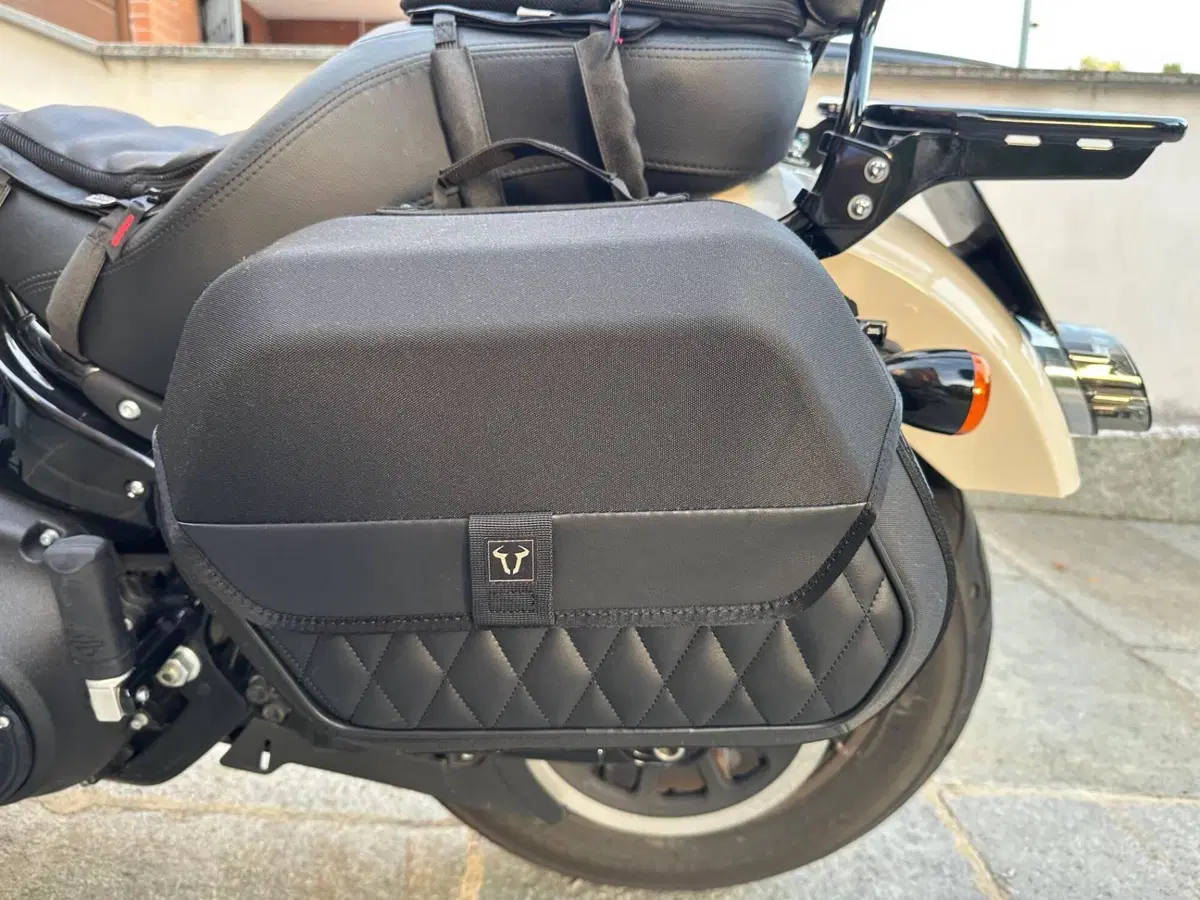 Harley-Davidson Low Rider S (2022 - 24) (3)