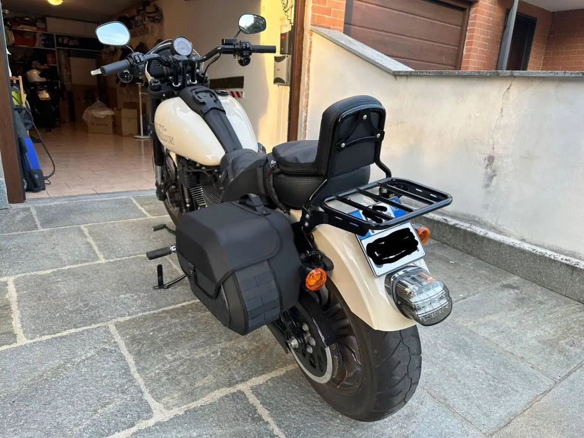 Harley-Davidson Low Rider S (2022 - 24) (12)