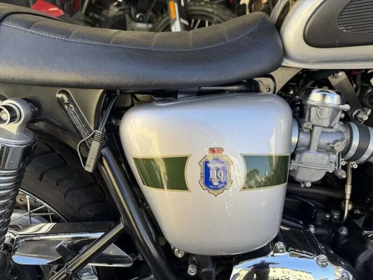 Triumph Bonneville T100 (2008 - 16) (5)
