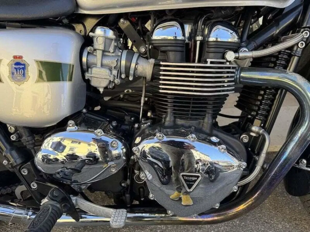 Triumph Bonneville T100 (2008 - 16) (6)