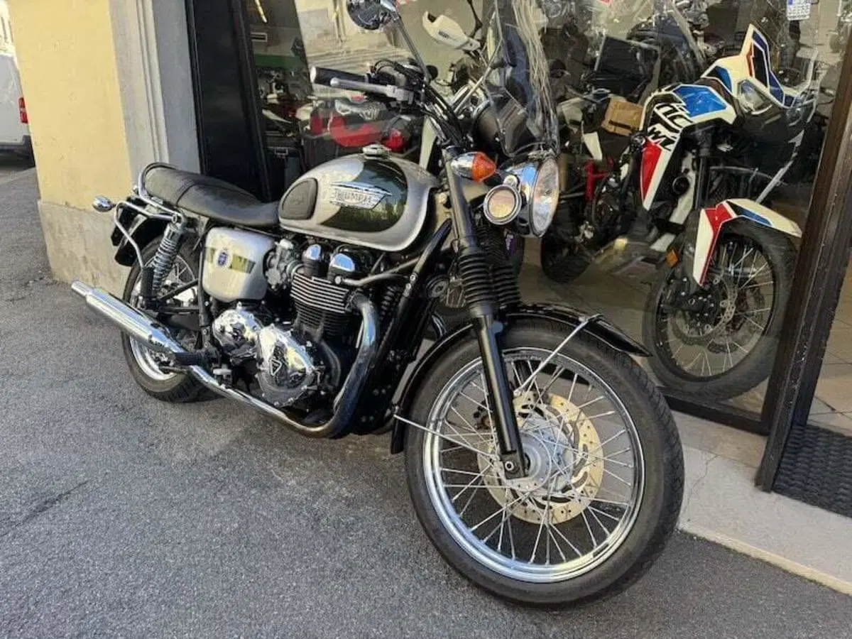 Triumph Bonneville T100 (2008 - 16) (10)