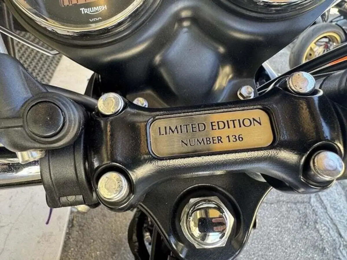 Triumph Bonneville T100 (2008 - 16) (15)