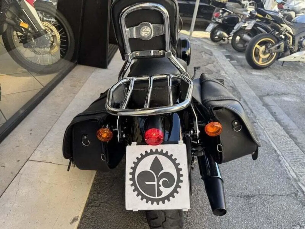 Harley-Davidson 1200 Forty-Eight Special (2018 - 20) (13)
