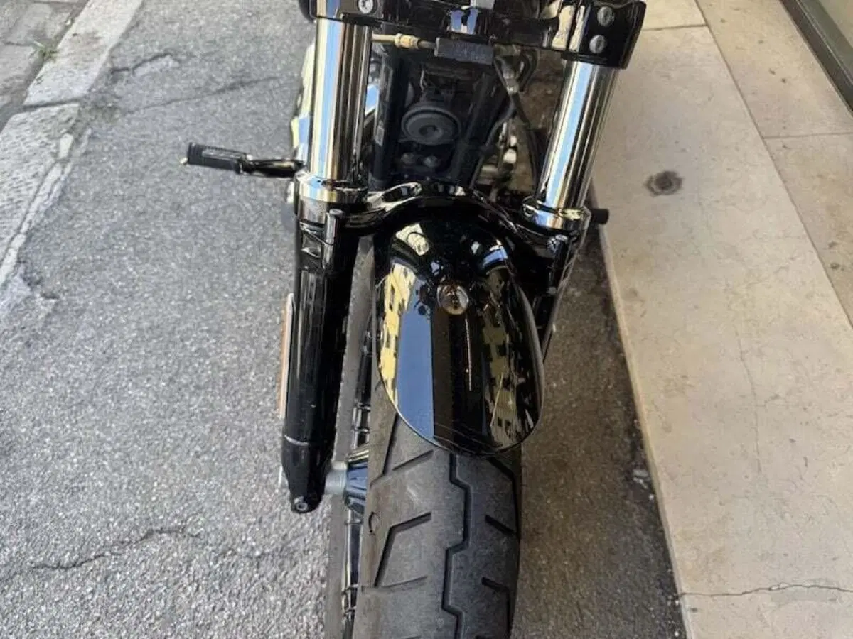 Harley-Davidson 1200 Forty-Eight Special (2018 - 20) (20)