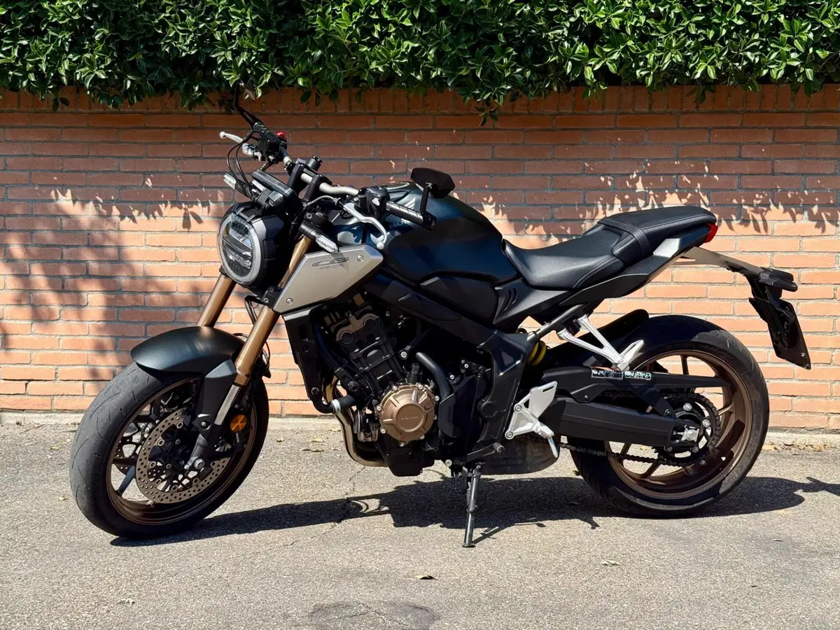 Honda CB 650 R (2021 - 23) (2)